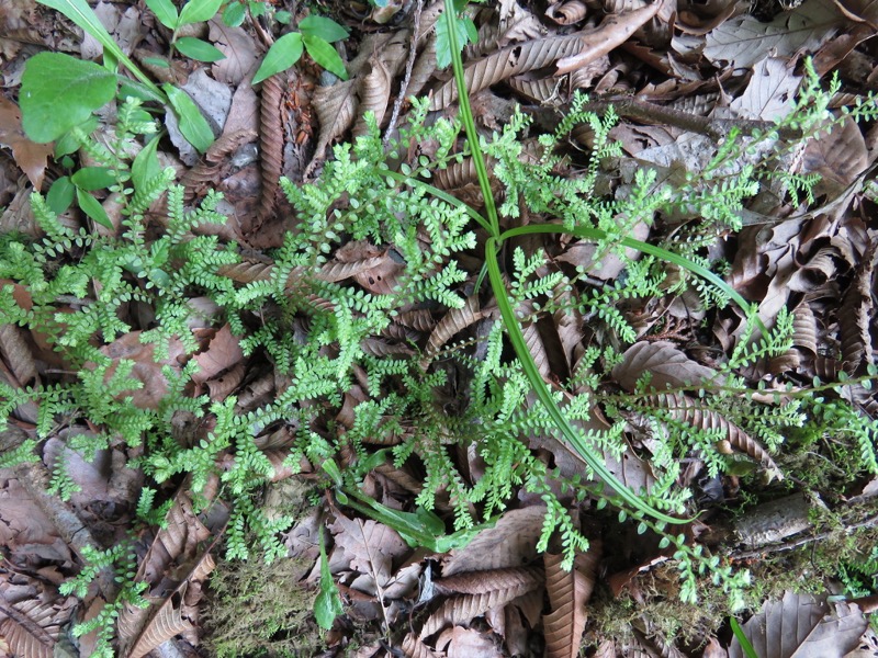 不老山登山