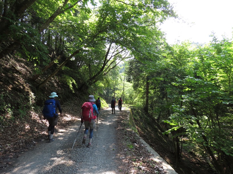 不老山登山