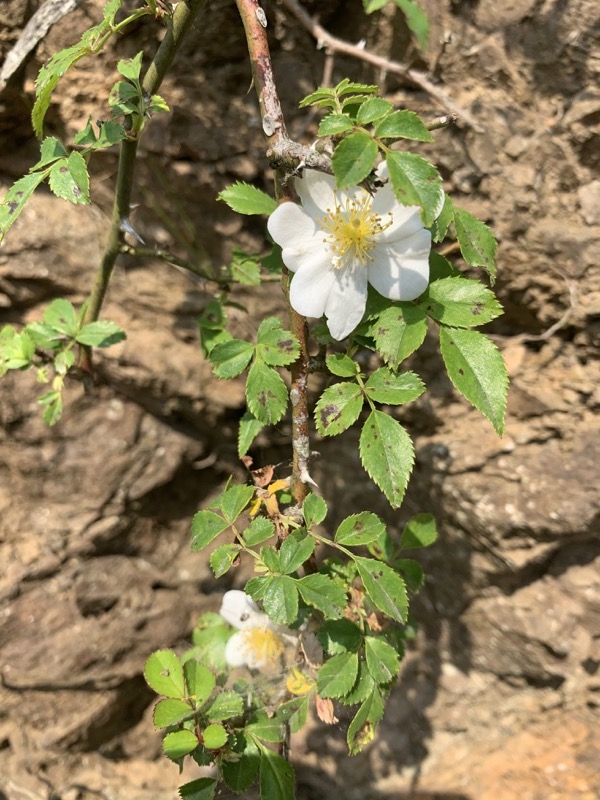 不老山登山