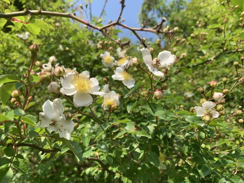 不老山登山