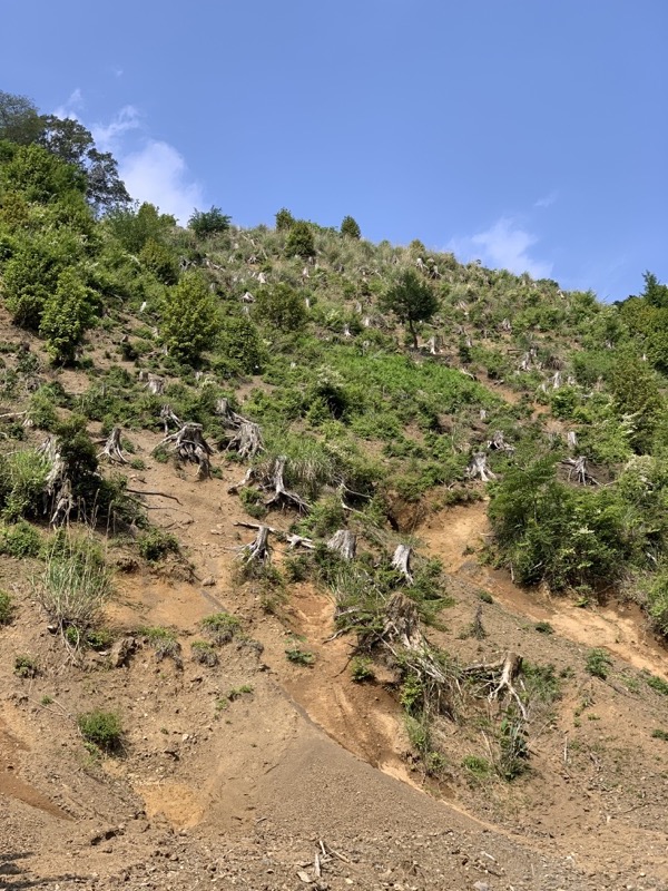 不老山登山