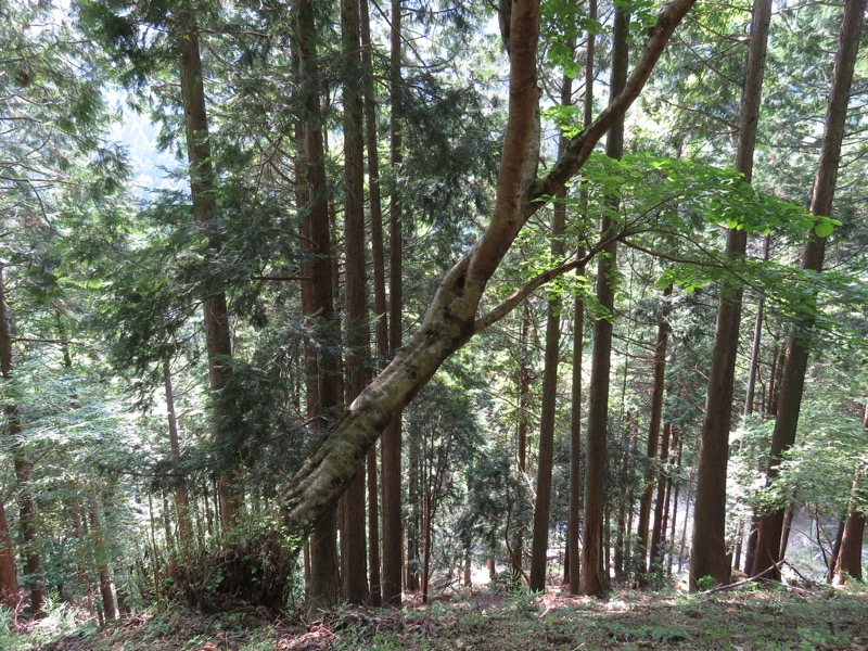 不老山登山