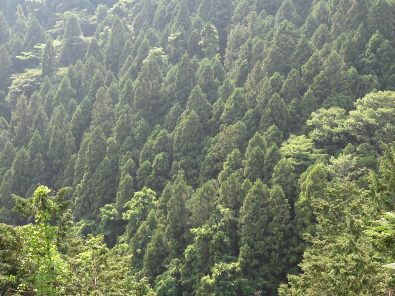 不老山登山