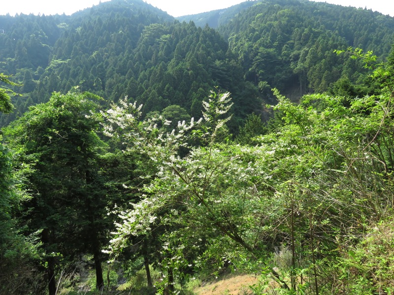 不老山登山