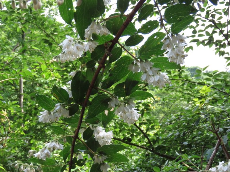 不老山登山