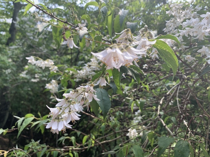 不老山登山