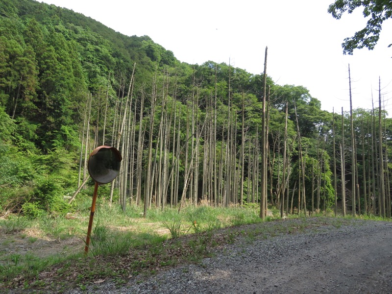 不老山登山