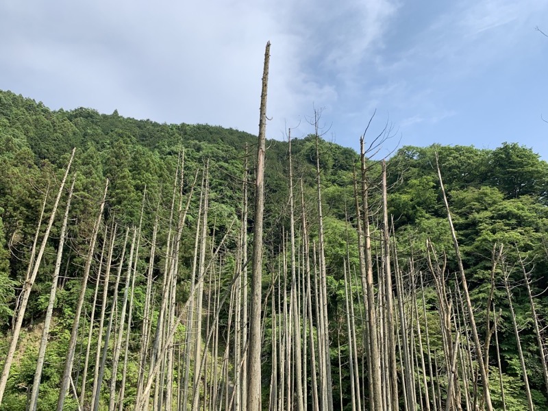 不老山登山