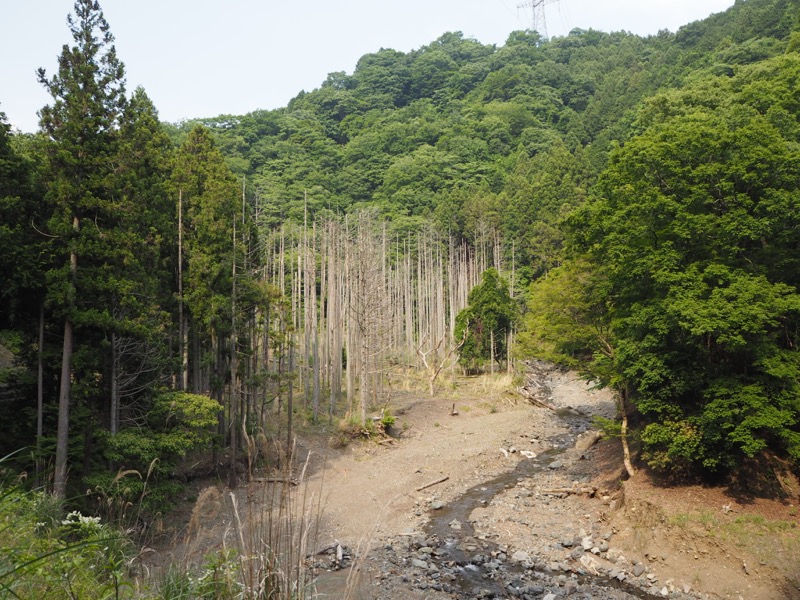 不老山