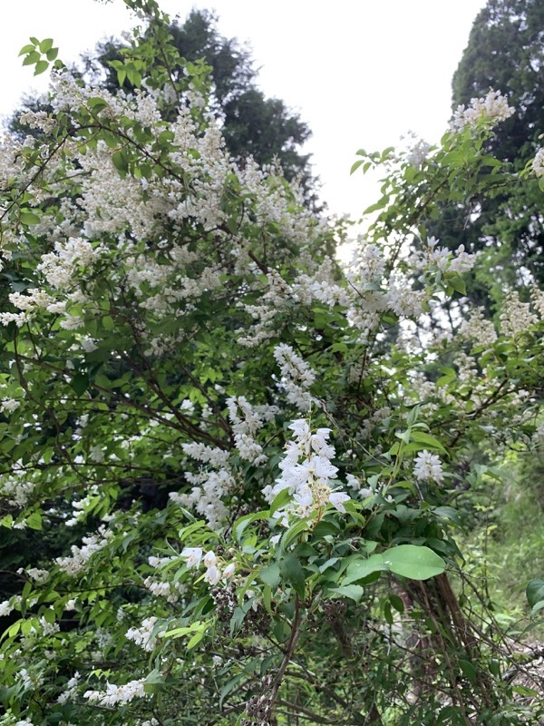 不老山登山