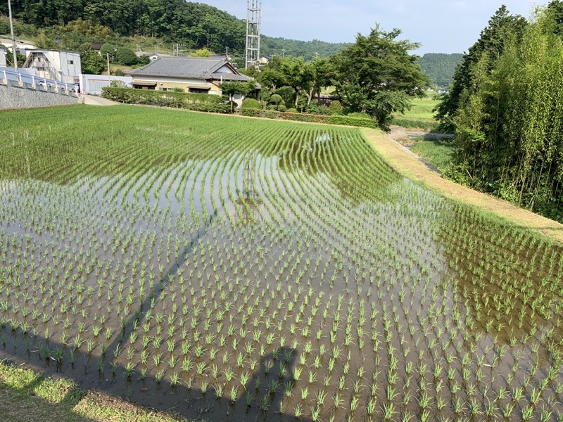 不老山登山