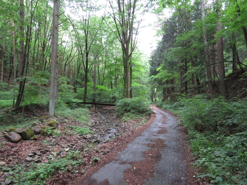 霧訪山登山