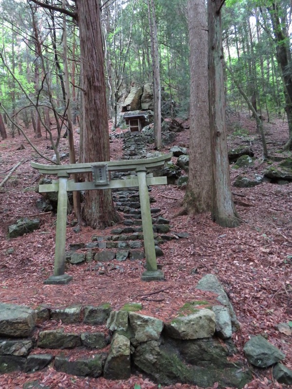 霧訪山登山