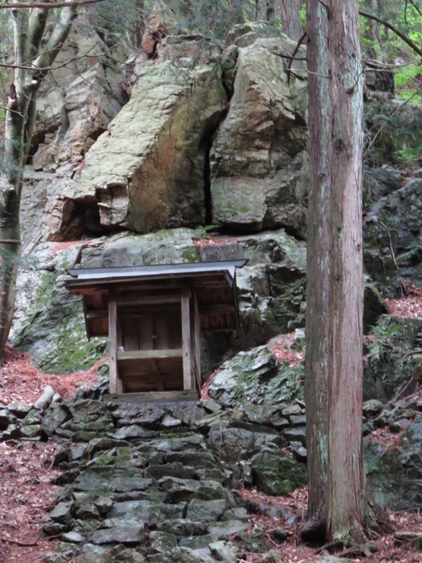霧訪山登山