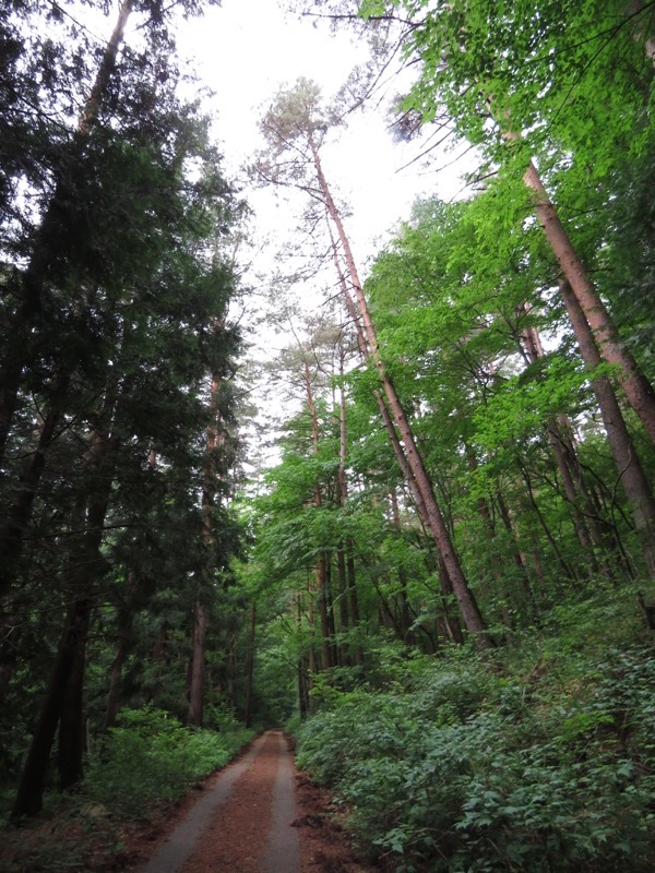 霧訪山登山