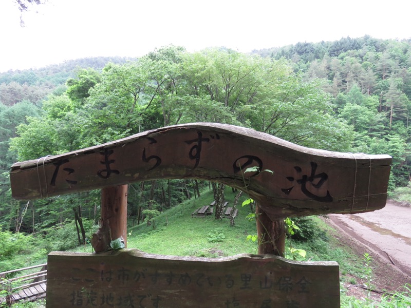 霧訪山登山