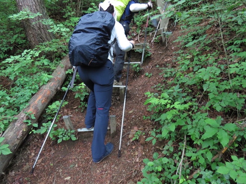 霧訪山登山