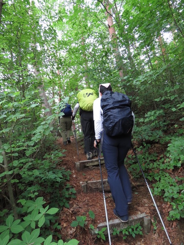 霧訪山登山