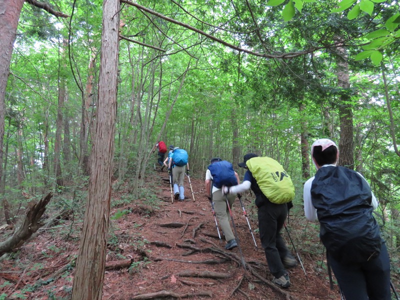 霧訪山登山