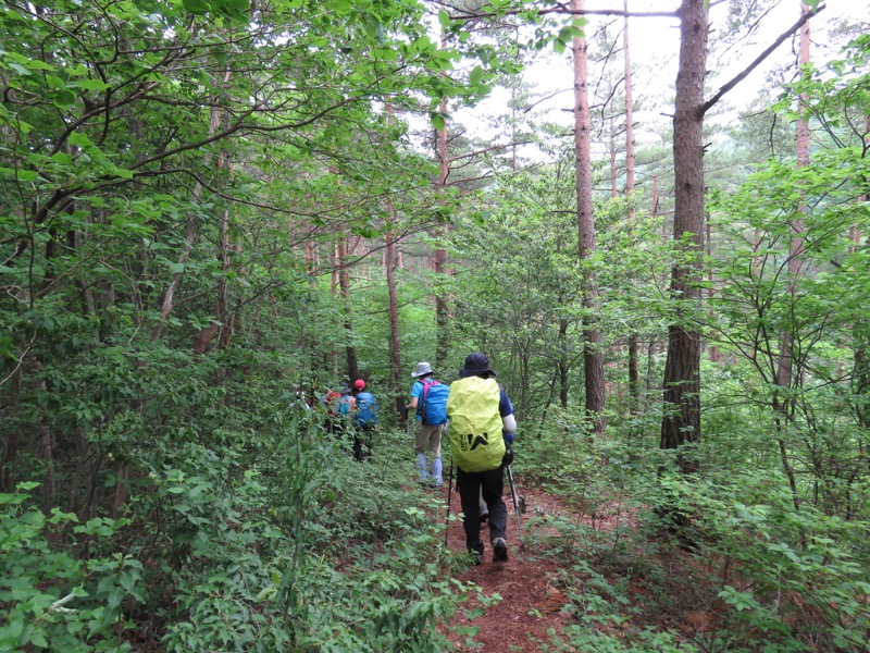 霧訪山登山