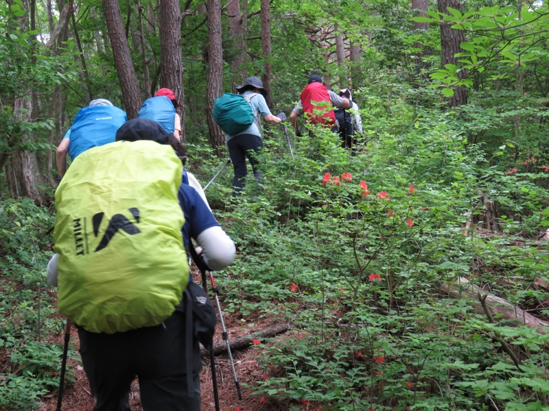 霧訪山登山