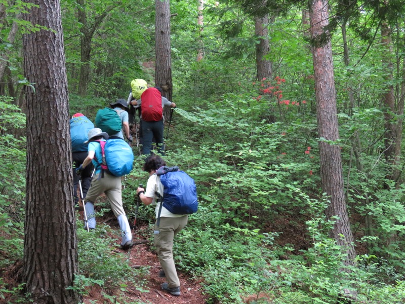 霧訪山登山