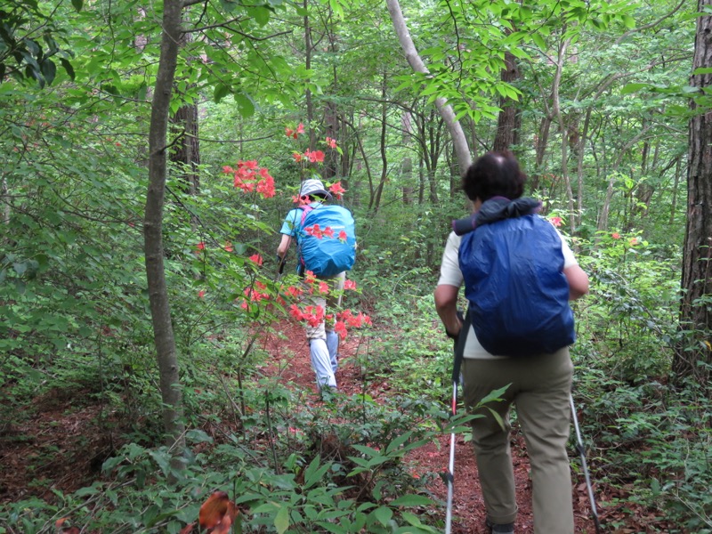 霧訪山登山