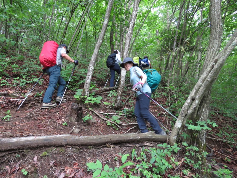 霧訪山登山
