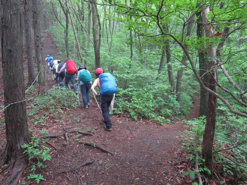 霧訪山登山