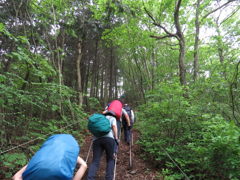 霧訪山登山