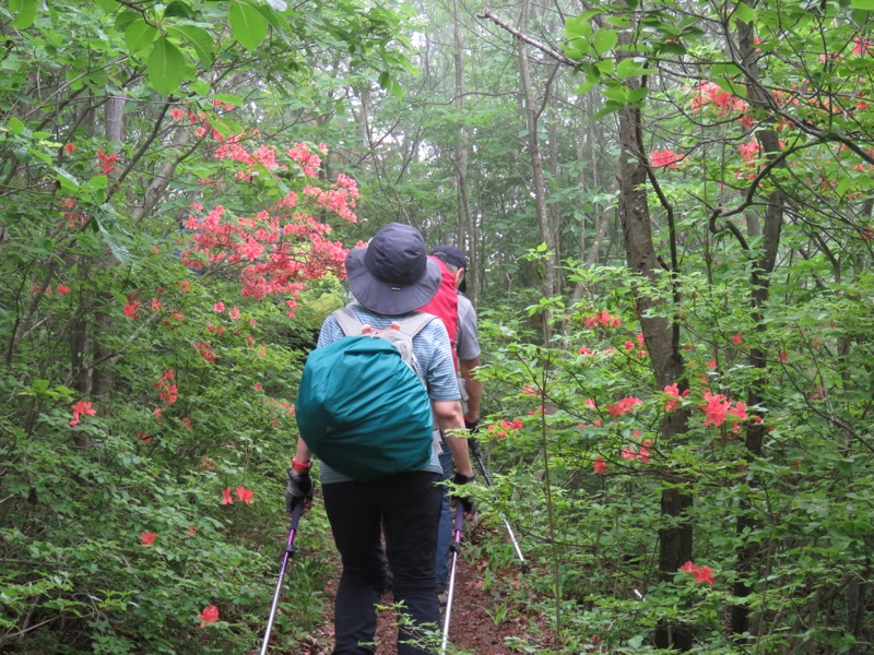 霧訪山登山