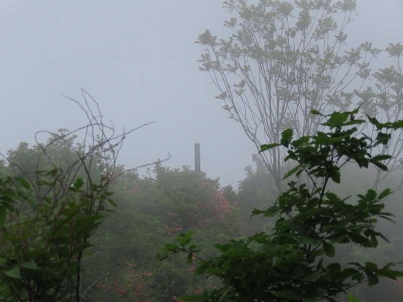 霧訪山登山