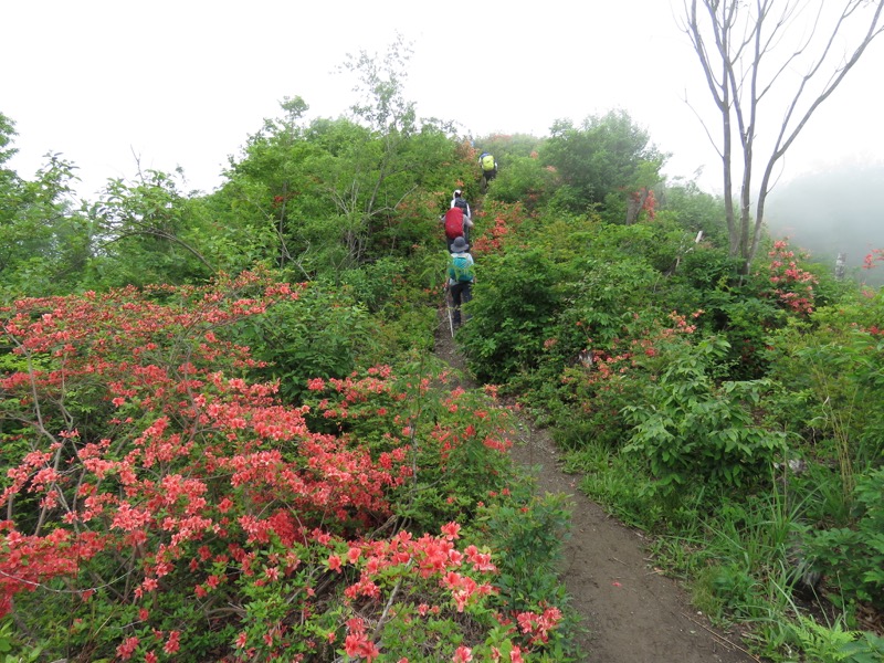 霧訪山登山