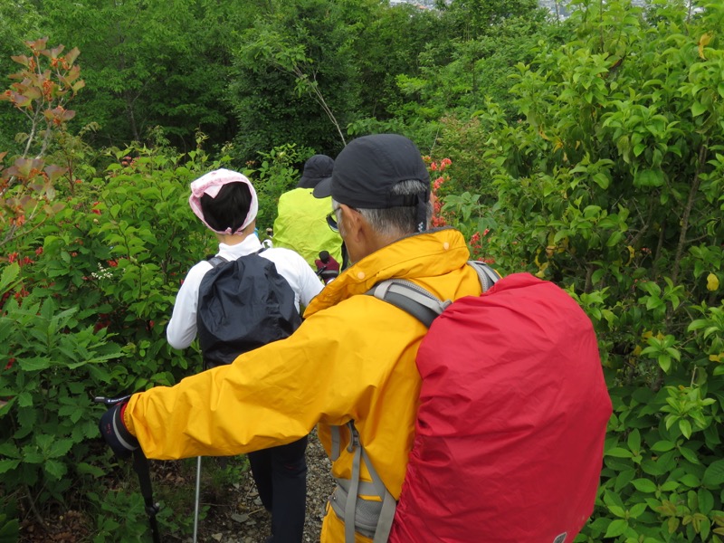霧訪山登山