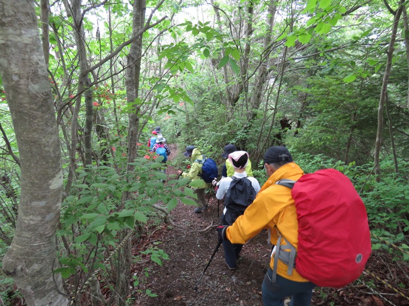 霧訪山登山