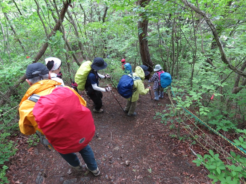 霧訪山登山