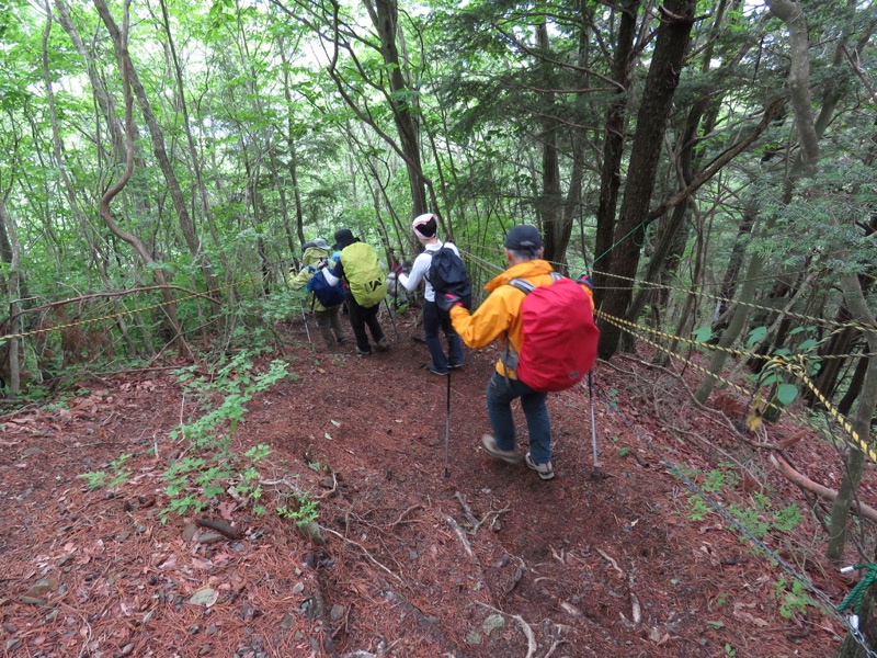 霧訪山登山
