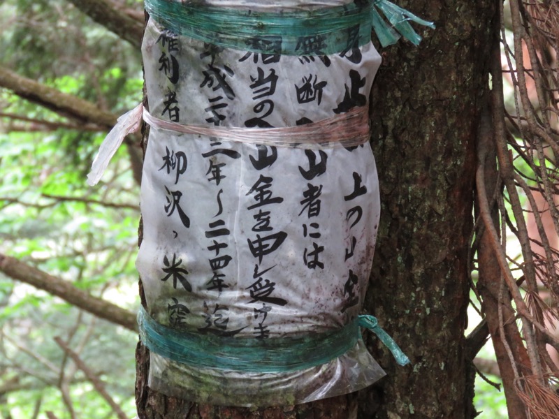 霧訪山登山