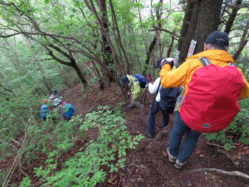 霧訪山登山