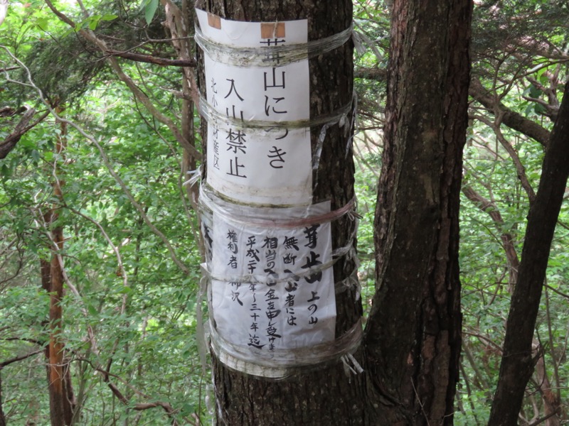 霧訪山登山