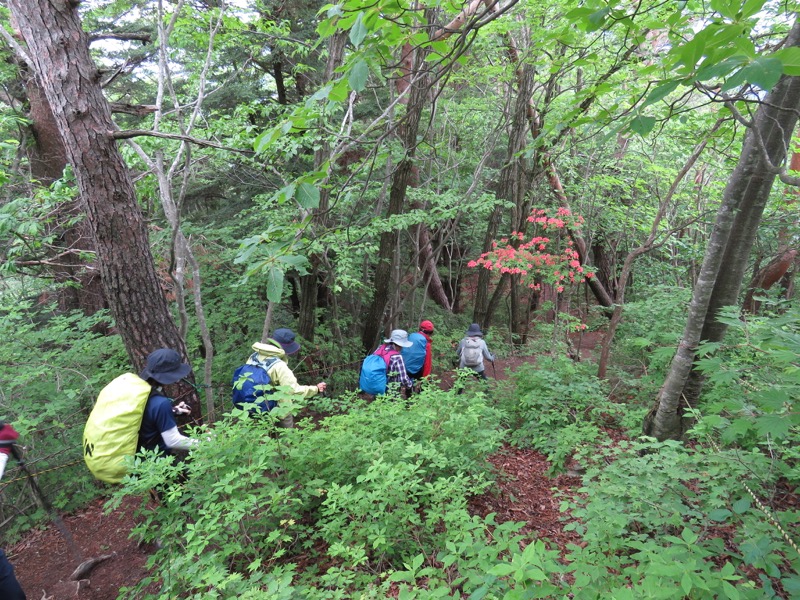 霧訪山登山