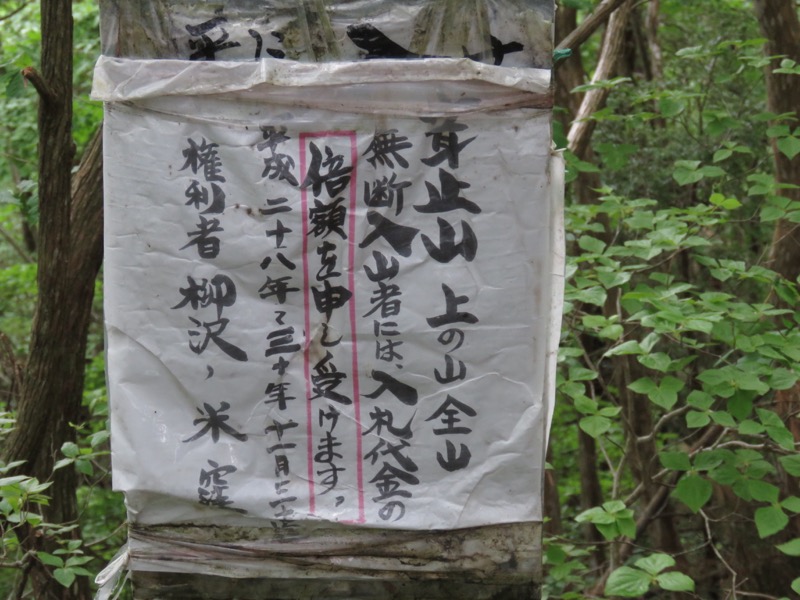 霧訪山登山