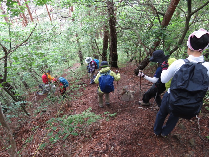 霧訪山登山
