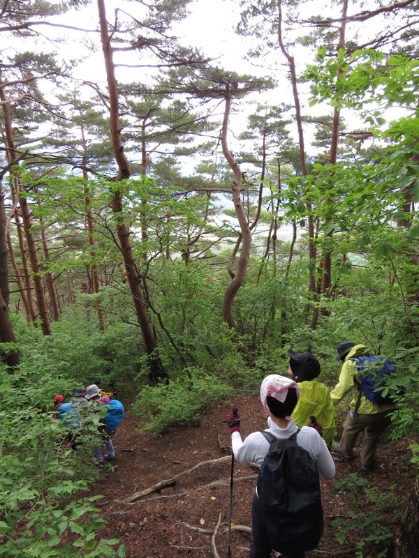 霧訪山登山