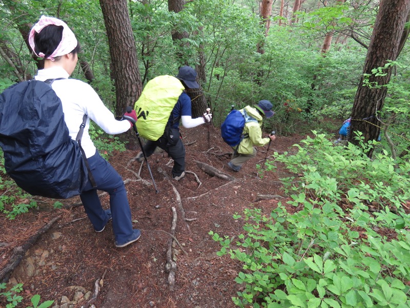 霧訪山登山