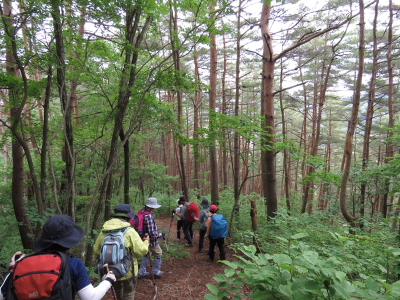 霧訪山登山