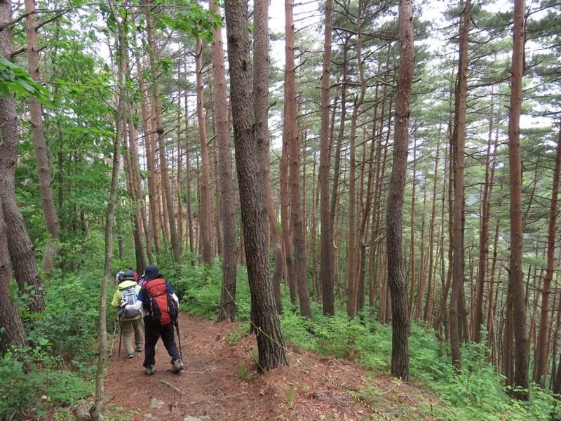 霧訪山登山