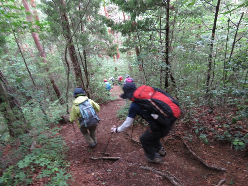 霧訪山登山