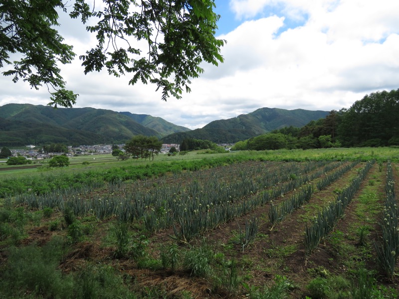 霧訪山登山