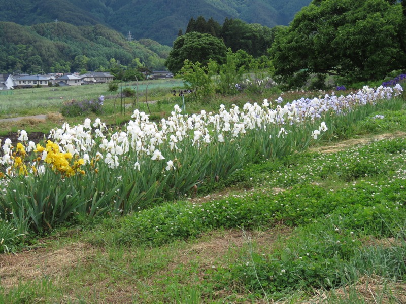 霧訪山登山